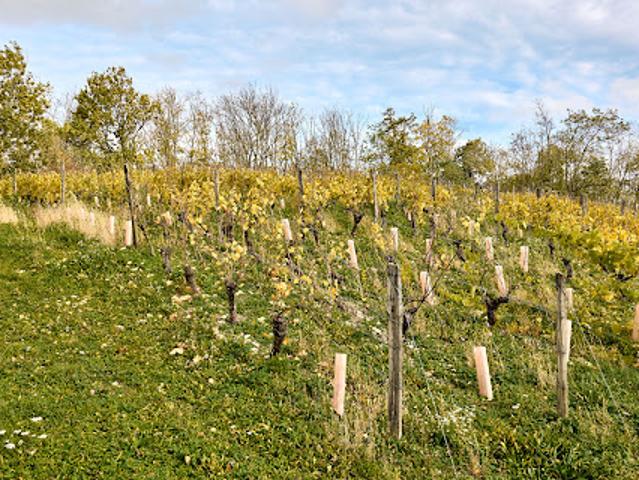 Vente Maison de maître 10 pièces 286 m2 Le Louverot