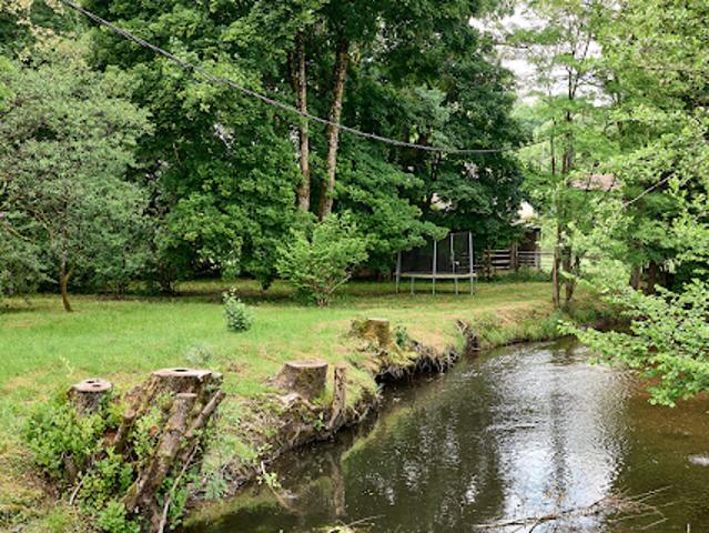 Vente Maison de maître 11 pièces 331 m2 Fougerolles