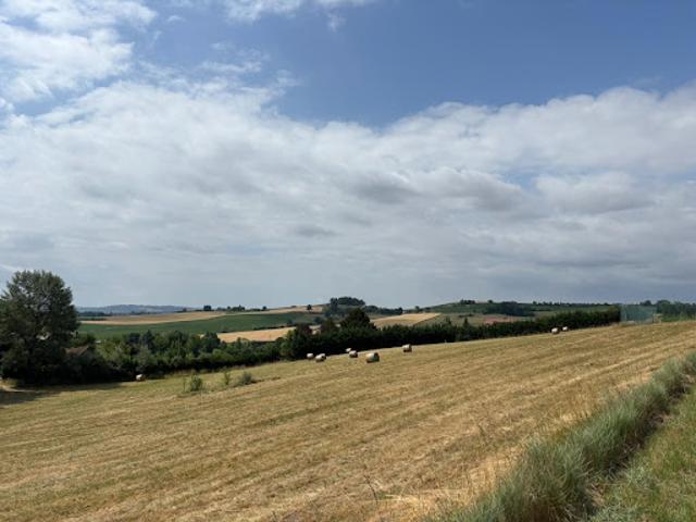 Vente Maison de maître 20 pièces 535 m2 Saint Gérand le Puy