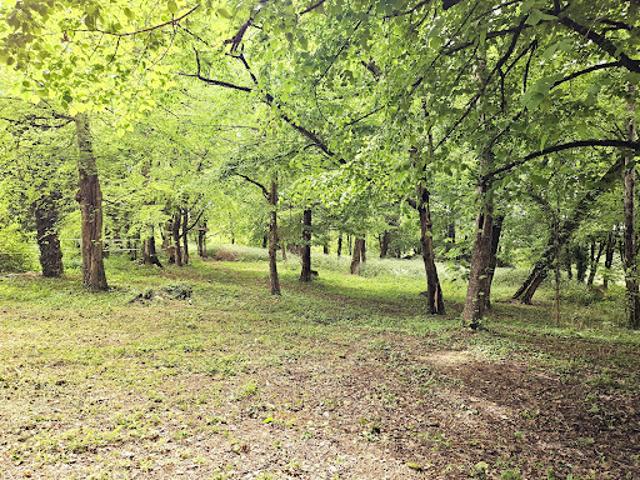 Vente Maison de maître 9 pièces 230 m2 Sorges et Ligueux en Périgord
