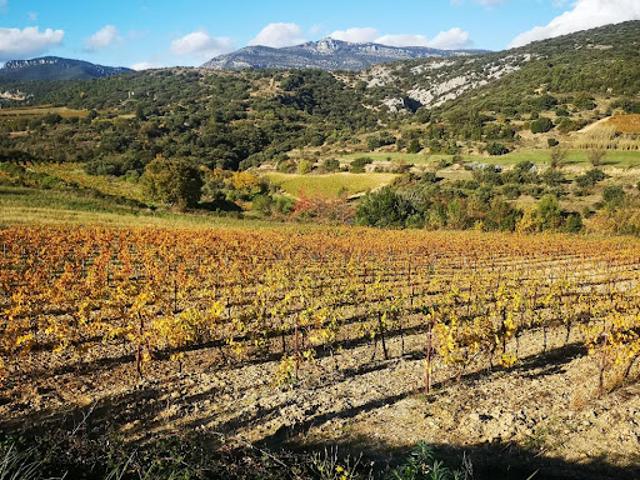 Vente Maison de ville 3 pièces 140 m2 Montpeyroux