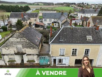 Vente Maison de ville 10 pièces 350 m2 Les Ormes