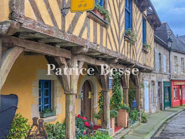 Vente Maison 11 pièces 300 m2 Bécherel
