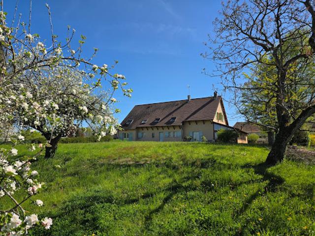 Vente Maison de ville 13 pièces 344 m2 Simandre