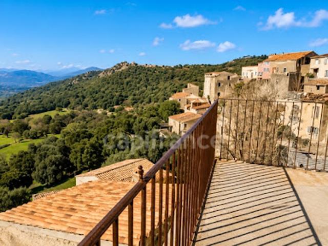 Vente Maison 15 pièces 300 m2 Montegrosso