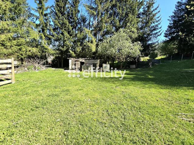 Vente Maison 4 pièces 75 m2 Rothau