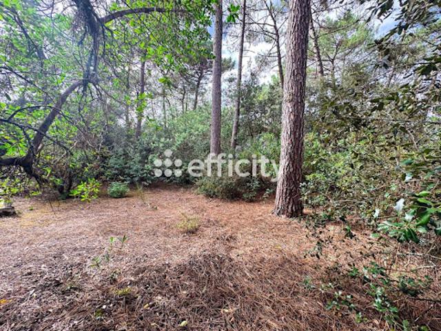 Vente Maison de ville 4 pièces 90 m2 Lacanau