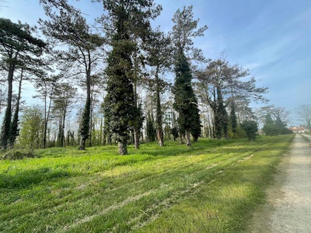 Vente Maison 6 pièces 207 m2 Dun sur Auron