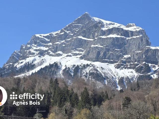 Vente Maison de ville 8 pièces 229.8 m2 Magland
