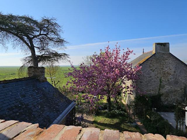 Vente Maison de ville 9 pièces 160 m2 Lavau sur Loire