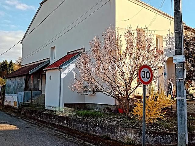 Vente Maison 9 pièces 191 m2 Badonviller