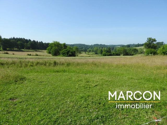 VENTE MAISON SECTEUR BELLEGARDE EN MARCHE