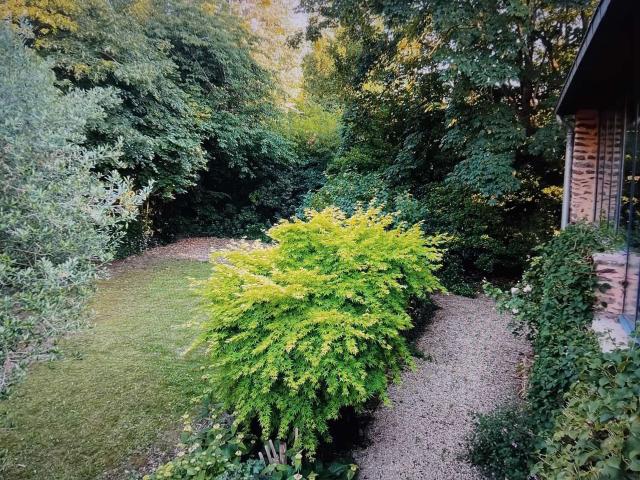 Vente maison Rennes Fougères 35