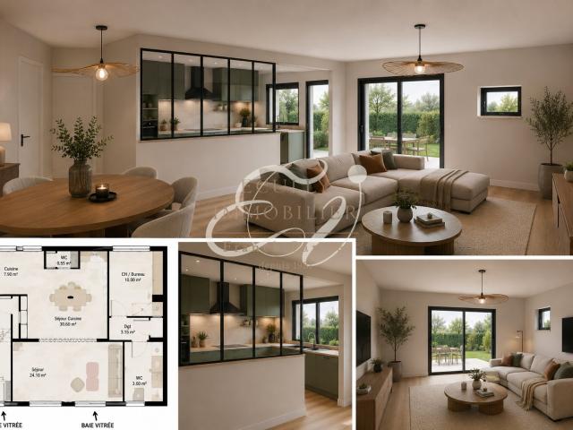 VENTE MAISON TASSIN LA DEMI LUNE 69160