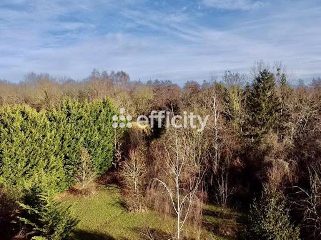 Vente Maison 8 pièces 183 m2 La Ferté Gaucher