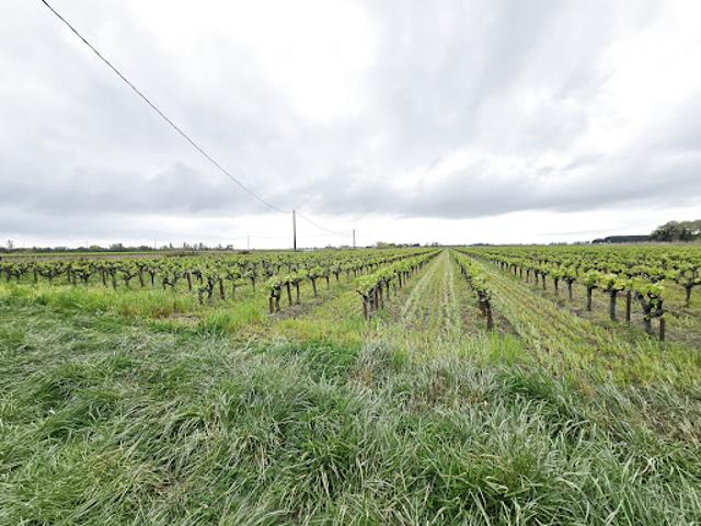 Vente Propriété 3 pièces 50 m2 Vauvert