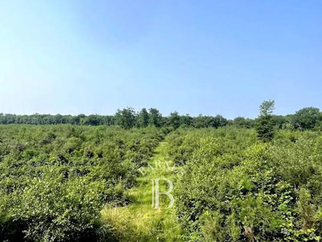 Vente Propriété 0 pièces 13300000000 m2 Mionnay