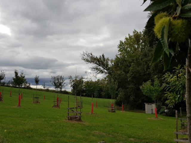 Vente Propriété 10 pièces 190 m2 Lapenche