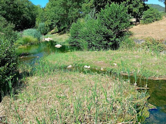Vente Propriété 10 pièces 238 m2 Serres