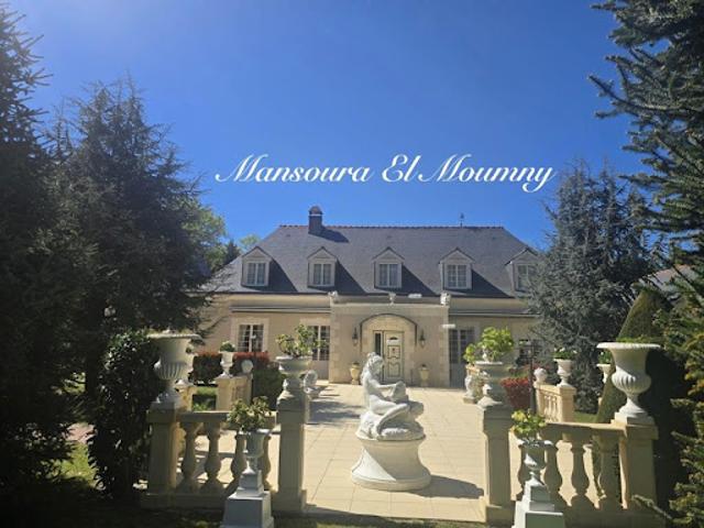 Vente Propriété 10 pièces 395 m2 Chambray les tours