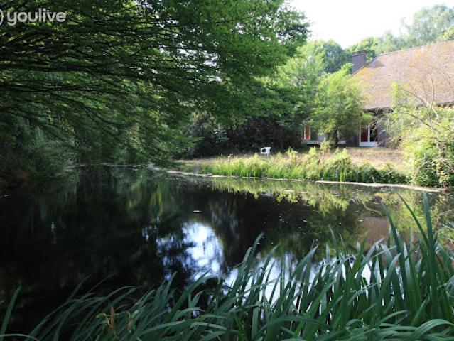 Vente Propriété 10 pièces 316 m2 Carvin