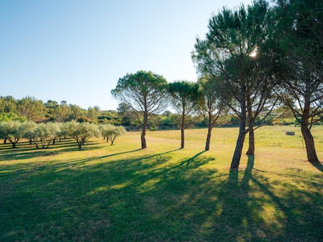 Vente Propriété 10 pièces 520 m2 La Livinière