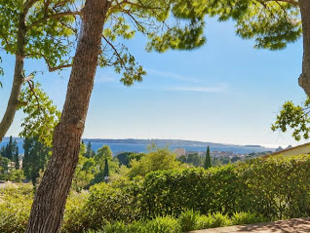 Vente Propriété 10 pièces 620 m2 Antibes