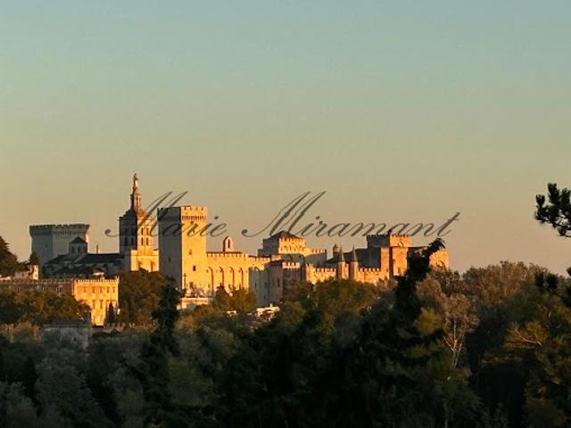 Vente Propriété 11 pièces 430 m2 Avignon