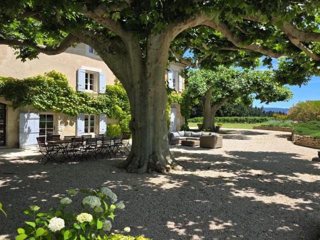 vente propriété 12 Pièce s 475m² L'Isle sur la Sorgue