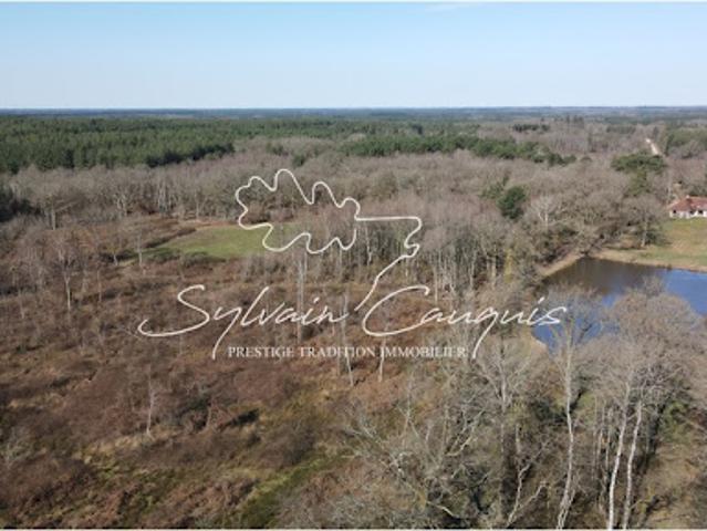 Vente Propriété 12 pièces 280 m2 Chaumont sur Tharonne