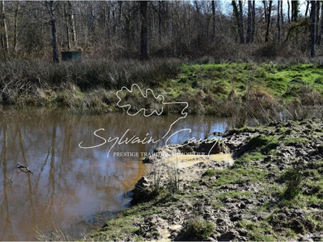 Vente Propriété 12 pièces 280 m2 Chaumont sur Tharonne
