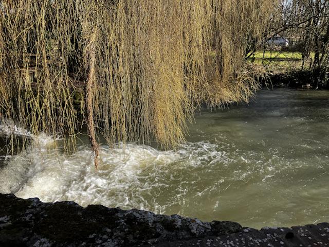 Vente Propriété 12 pièces 366 m2 Pacy sur Eure