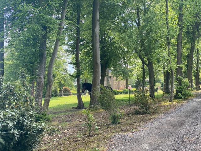 Vente Propriété 12 pièces 330 m2 Perriers sur Andelle