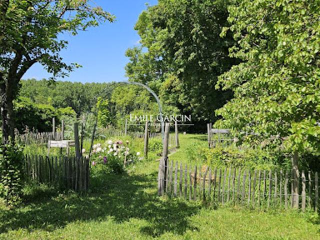 Vente Propriété 12 pièces 441 m2 Orleans