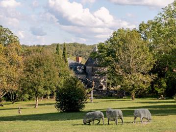 Vente Propriété 12 pièces 424 m2 Saint Cirq Lapopie