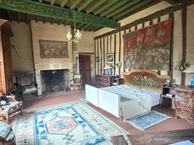 Vente Propriété 12 pièces 500 m2 Marciac
