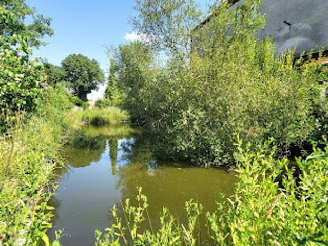 Vente Propriété 13 pièces 252 m2 Belhomert Guéhouville