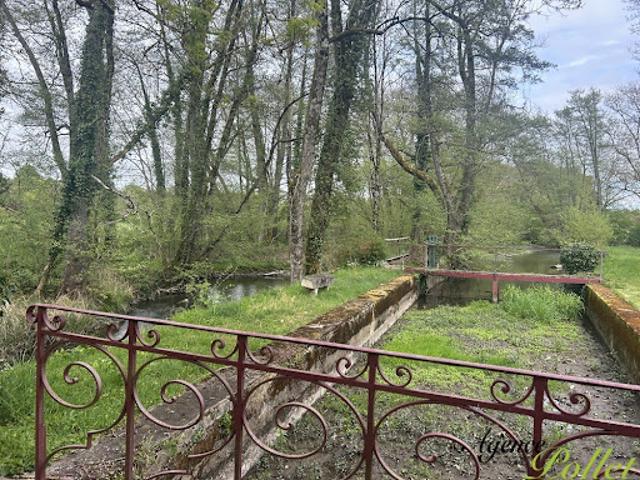 Vente Propriété 13 pièces 480 m2 Henrichemont