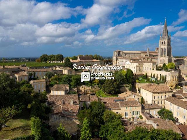 Vente Propriété 13 pièces 700 m2 Saint Emilion