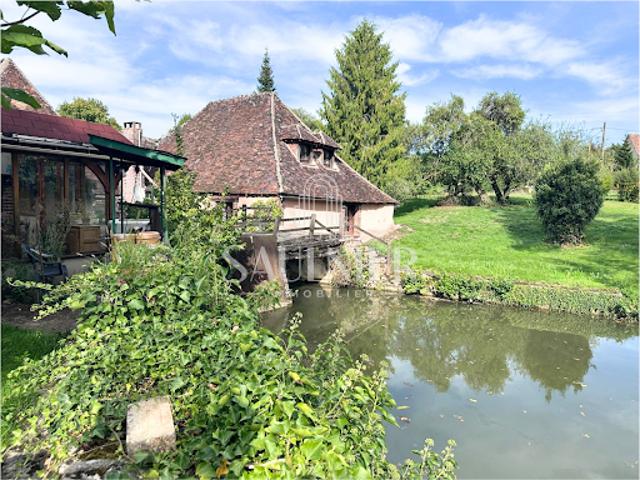 Vente Propriété 14 pièces 364 m2 Tannerre en Puisaye
