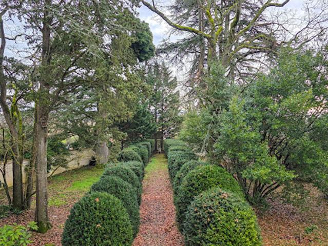 Vente Propriété 20 pièces 730 m2 Moissac