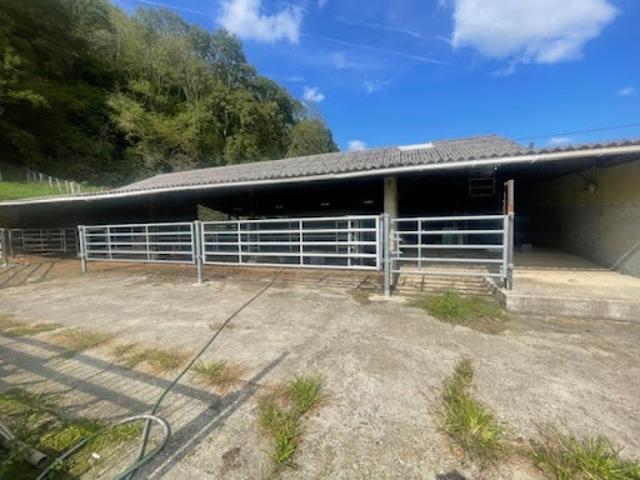 Vente Propriété 15 pièces 250 m2 Escoubès Pouts