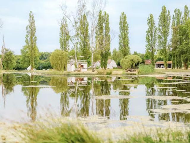 Vente Propriété 15 pièces 380 m2 Romorantin Lanthenay