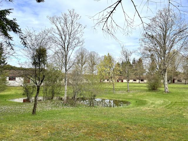 Vente Propriété 15 pièces 480 m2 Pressigny les Pins