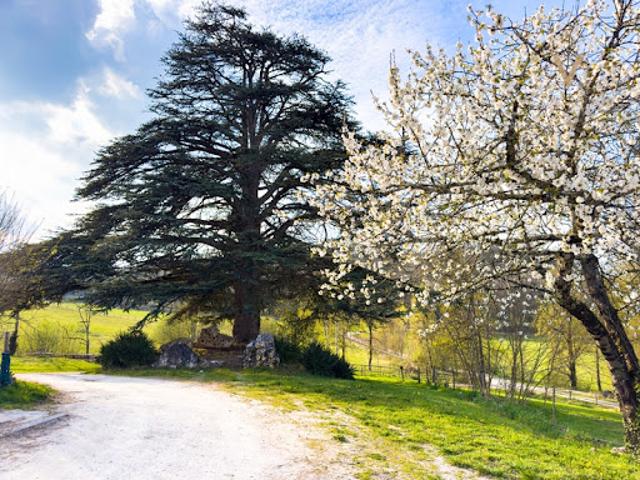 Vente Propriété 15 pièces 485 m2 Tournon d'Agenais