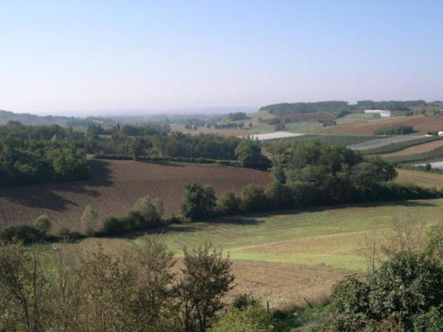 Vente Propriété 15 pièces 620 m2 Valence D Agen