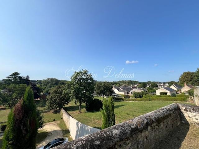 Vente Propriété 16 pièces 1000 m2 Noizay