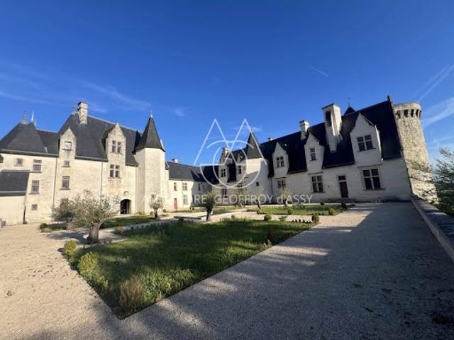 Vente Propriété 16 pièces 3000 m2 Le Blanc
