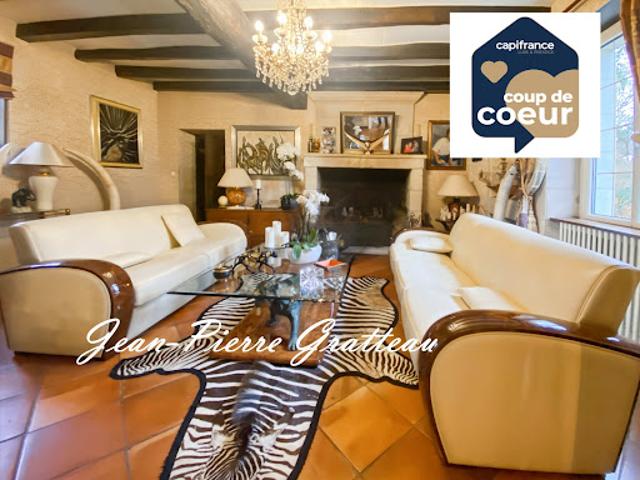 Vente Propriété 16 pièces 584 m2 Thuré