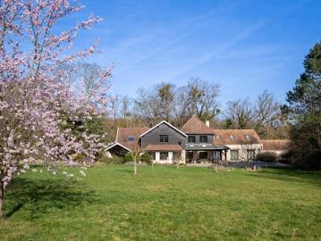 Vente Propriété 17 pièces 549 m2 Goussonville